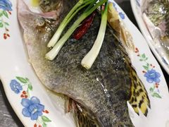 -小六农家乐(崇明西沙湿地店)
