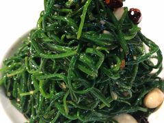 -老阿妈蒙古村·蒙古包·草原文化·歌舞表演(老君堂店)