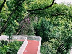 -金鸡山公园
