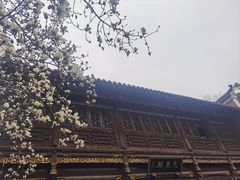-长春观
