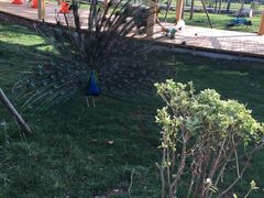 -云南艺术学院(呈贡校区)