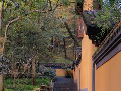 -慧因高丽寺