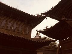 -张掖大佛寺景区