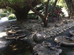 -成都市活水公园