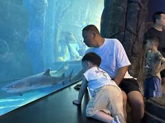 -成都浩海立方海洋公园