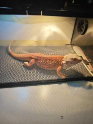 -酷嗒动物文化乐园(cutezoo西溪乐天城店)