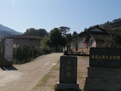 -福建土楼（华安）旅游区•大地土楼群