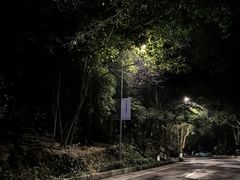 -铁山坪森林公园