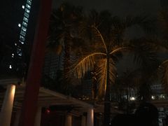 -CLUB VIVA(购物公园店)