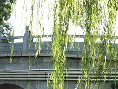 -莲湖公园