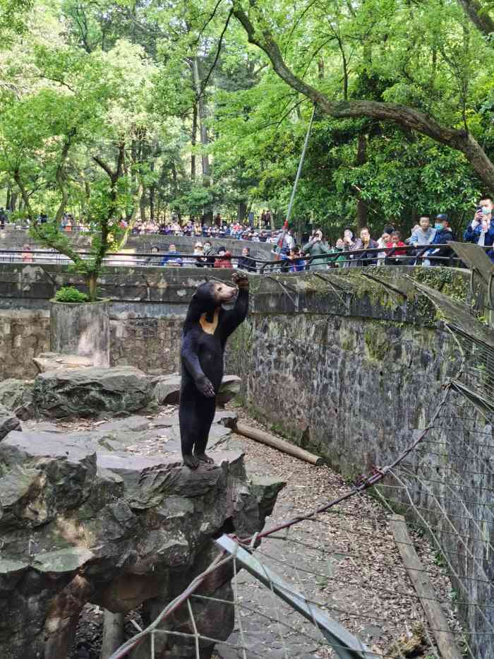 杭州動物園-