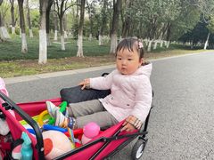 -惠洛克国际儿童之家(绿博园中心)