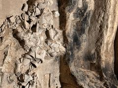 -秦始皇帝陵博物院(兵马俑)