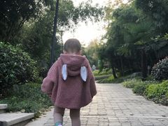-菊花台公园