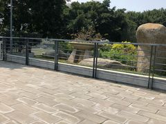 -光明港公园