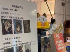 -逃脱反斗城沉浸剧情密室(北京路店)