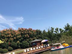 -南湖湿地公园