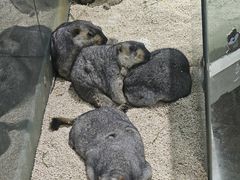 -台州海洋世界