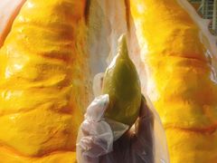 -都念榴莲·城市榴莲