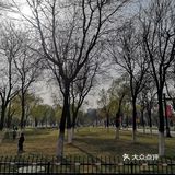 大明宫遗址公园里面非常大