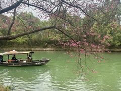 -西溪国家湿地公园