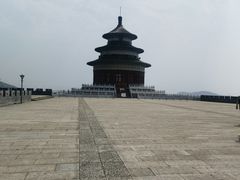 -黄贤森林公园