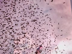 -上海国际音乐村