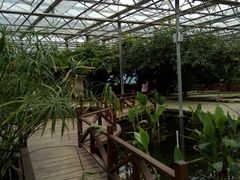 -晶宝温泉农庄