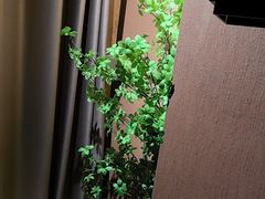 -泰·菩提树下[泰式按摩x精油SPAx肩颈头疗](新景店)