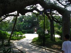 -小洲村
