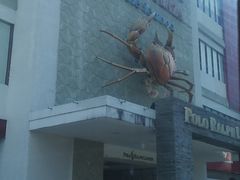 -金巴兰海鲜王