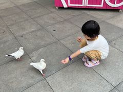 -厦门方特梦幻王国