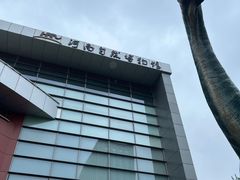 -河南自然博物馆