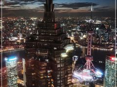 -The lounge 柏悦酒店大堂酒廊(上海环球金融中心店)