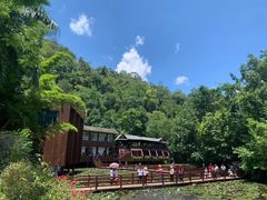 -西双版纳原始森林公园