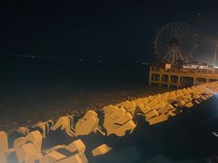 -奉贤海滩
