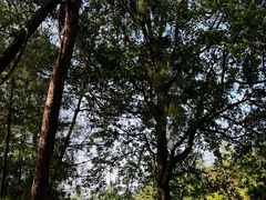 -昆明春城湖畔度假村