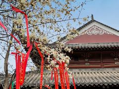 -堤角公园