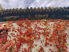 -香山公园