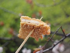 -1973继光香香鸡(大东方百货店)