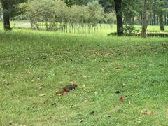 -福建鲤鱼洲酒店