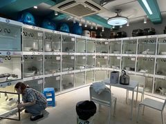 -爱侣宠医·鹦鹉专科·小型哺乳类·异宠专科(灵石路店)