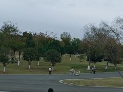 -盘龙城国家考古遗址公园