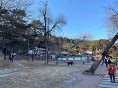 -阳台山自然风景区