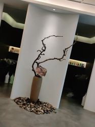-C-18 SALON