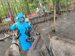 -北极村旅游风景区