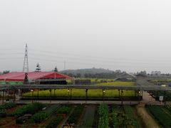 iphone_upload_pic-盈香心动乐园