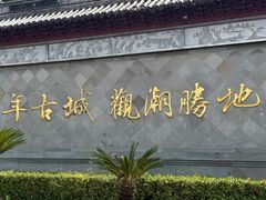-观潮胜地公园