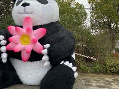 -苏州太湖国家湿地公园