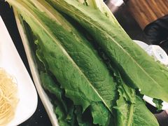 油麦菜-百味源炭火烤翅 ·夜市大排档(酒仙桥店)